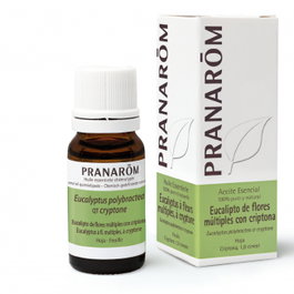 PRANAROM Aceite esencial de Eucalipto de flores BIO 10ml