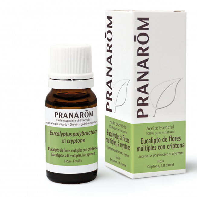 PRANAROM Aceite esencial BIO de Eucalipto de flores 10 ml