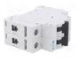 EATON ELECTRIC FAZ-C0.5/2 Interruptor magnetotérmico 0,5A 2 polos
