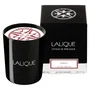 Lalique Vela Aromática Chili La Paz Bolivie 190g