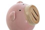 DKD Home Decor Hucha Cerdo Rosa en Dolomita