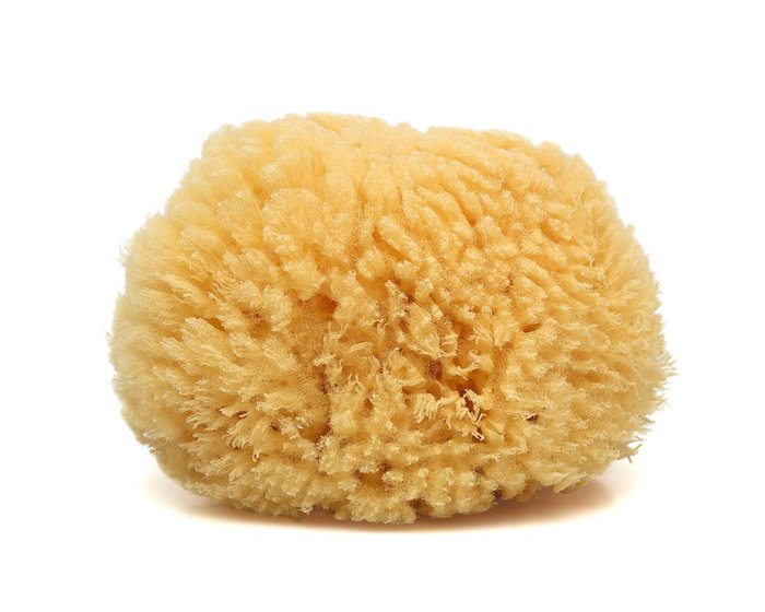 KioKids Esponja Natural - Esponja Vegetal para Baño e Higiene