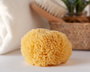 KioKids Esponja Natural - Esponja Vegetal para Baño e Higiene