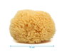 KioKids Esponja Natural - Esponja Vegetal para Baño e Higiene