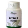 PLANTAPOL Acerola 90 comprimidos masticables