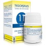 TEGOR Silicea Nº 11 Silicea 350 comprimidos