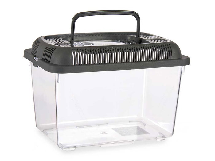 Mascow Pecera Mediana 24 x 17 cm Antracita con Asa (Set de 12)