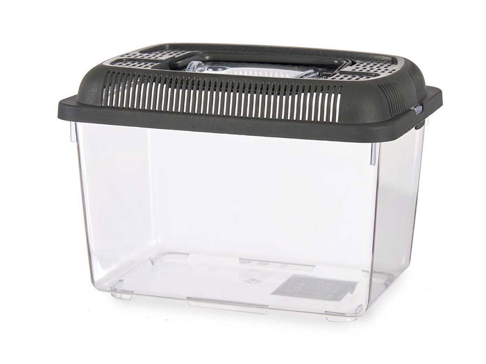 Mascow Pecera Mediana 24 x 17 cm Antracita con Asa (Set de 12)