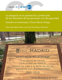 Abogacía promoción y protección derechos personas discapacidad, Maria Jesus Baile, Luis Cayo - EDICIONES CINCA