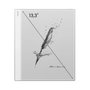 Onyx Boox Note Max Szary Gris