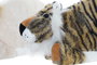 DKD Home Decor Peluche Beige Marron 15 x 23 x 15 cm