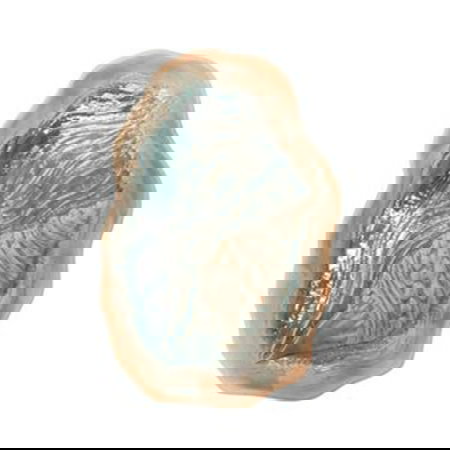 Summa Fuente de Gres Mar Verde con Forma de Caracola para Vajilla, 29.5 x 19 cm (Set de 6)