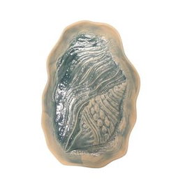 Summa Fuente de Gres Mar Verde con Forma de Caracola para Vajilla, 29.5 x 19 cm (Set de 6)