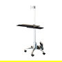 VALUE Mobile PC Cart / LCD-Rollständer, Höhenverstellbar, Bis 10 kg, Plata