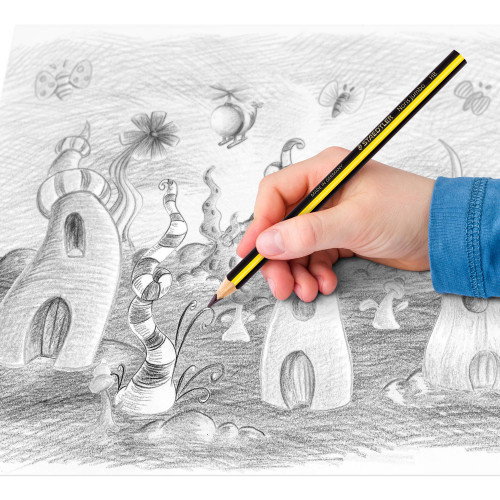 Staedtler Lápices Noris Jumbo 119 T72 HB, Hexagonal, Diámetro 4 mm, 72 Piezas