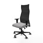 Sillón Albacete con mecanismo Sincro tapizada con Tela color Gris claro y malla color Negro. Equipado con Base nailon negra, Brazos 1D y Ruedas 65 mm parqué