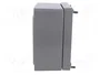 FIBOX EURONORD Carcasa Universal Gris IP66