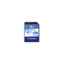 Verbatim Tarjeta SDHC Premium de 16 GB Clase 10