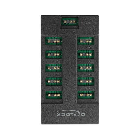 DELOCK Hub RGB para LEDs ARGB, 10 Puertos, Cable de 0.5 m, Negro, Plástico