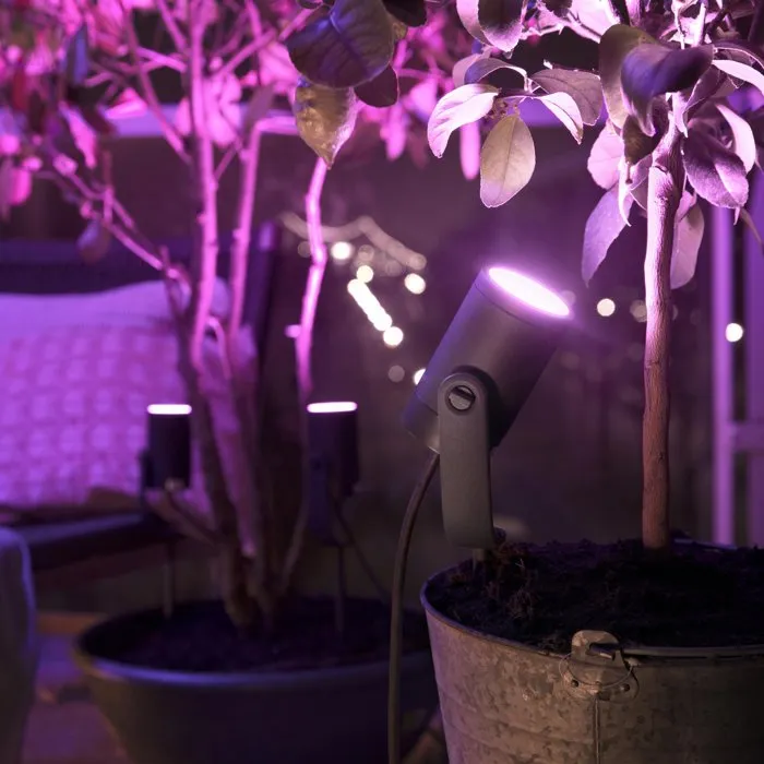 Philips Hue Kit de 3 puntos conectados Lily 8W HW&CA Antracita