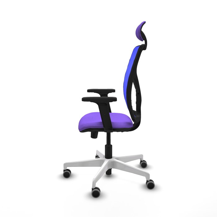 PIQUERAS Y CRESPO Silla de oficina Motilla con mecanismo Sincro/Traslack, Lila y Azul PIQUERAS Y CRESPO Silla de oficina Motilla con mecanismo Sincro/Traslack, Lila y Azul