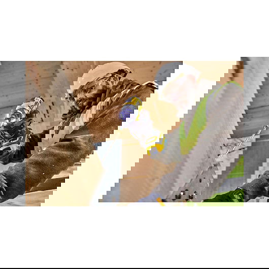 DeWALT DCF860NT-XJ Destornillador de Impacto 1/4" 18V Sin Escobillas, 4400Nm de Torque, Mango de Pistola, 3800 RPM, Negro y Amarillo