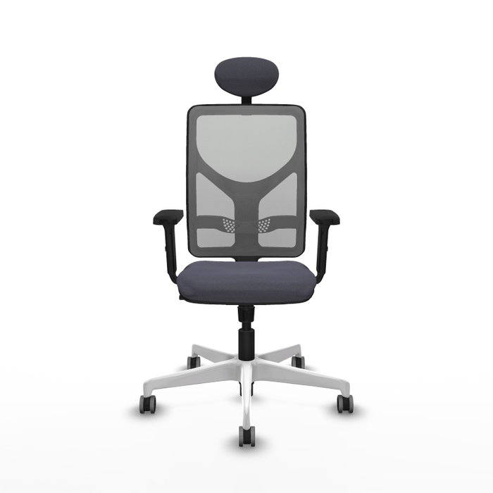 PIQUERAS Y CRESPO Silla de oficina Motilla con mecanismo Sincro, Gris PIQUERAS Y CRESPO Silla de oficina Motilla con mecanismo Sincro, Gris