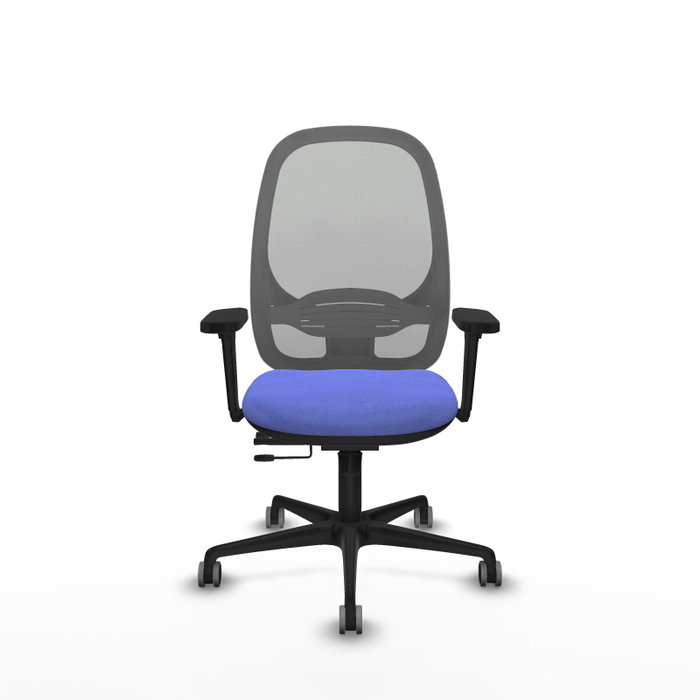 PIQUERAS Y CRESPO Silla de Oficina Cilanco con Mecanismo Sincro/Traslack, Azul claro y Gris