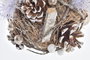 DKD Home Decor Bola de Decoración de Piñas Naturales Dorado 15x15x15 cm