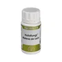 EQUISALUD Holofungi Melena de León 50 cápsulas