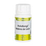 Equisalud Holofungi Melena de León 50 cápsulas