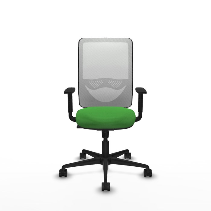 PIQUERAS Y CRESPO Silla de oficina Zulema con mecanismo Sincro, Verde y Blanco PIQUERAS Y CRESPO Silla de oficina Zulema con mecanismo Sincro, Verde y Blanco