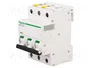 SCHNEIDER ELECTRIC Interruptor magnetotérmico iC60N 10A 3 polos Caract B