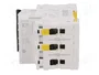 SCHNEIDER ELECTRIC Interruptor magnetotérmico iC60N 10A 3 polos Caract B
