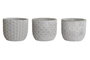 DKD Home Decor Macetero Gris Cemento 14 x 12 x 14 cm (6 Unidades)