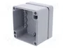 FIBOX ALN Carcasa Universal de Aluminio Gris