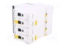 SCHNEIDER ELECTRIC iC60N 25A 4 Polos Característica C