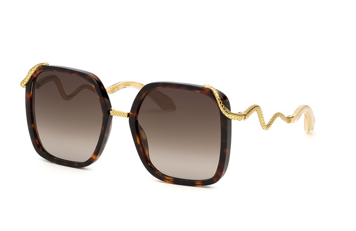 Roberto Cavalli SRC003M550743 Gafas de sol Marrón Roberto Cavalli SRC003M550743 Gafas de sol Marrón