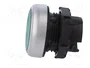 LOVATO ELECTRIC Interruptor de presión Platinum 22mm Verde