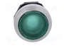 LOVATO ELECTRIC Interruptor de presión Platinum 22mm Verde