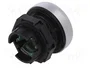 LOVATO ELECTRIC Interruptor de presión Platinum 22mm Verde