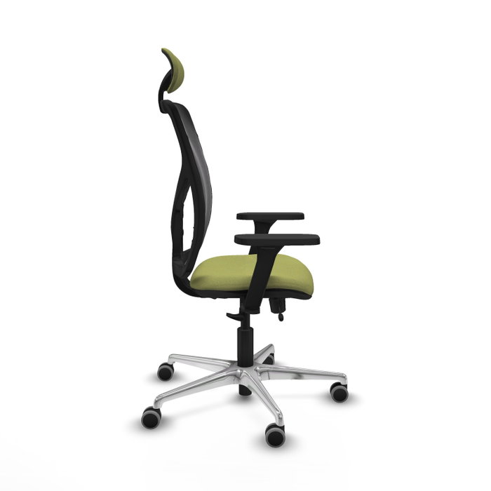 PIQUERAS Y CRESPO Silla de oficina Motilla con mecanismo Sincro/Traslack Verde oliva PIQUERAS Y CRESPO Silla de oficina Motilla con mecanismo Sincro/Traslack Verde oliva