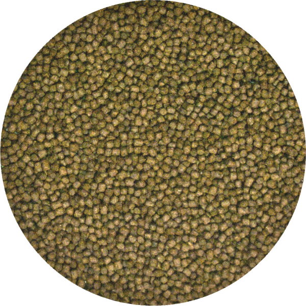 ZooMed Alimento Completo para Tortuga Acuática Joven 425g ZooMed Alimento Completo para Tortuga Acuática Joven 425g