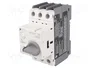 LEGRAND Interruptor motorizado 3,7/4kW 230÷690VAC