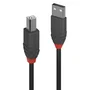 Lindy 36672 Cable USB 2.0 de 1 m con conectores USB A y USB B Negro