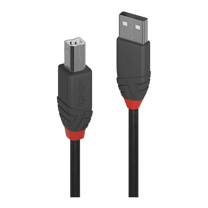 Lindy 36672 Cable USB 2.0 de 1 m con conectores USB A y USB B Negro