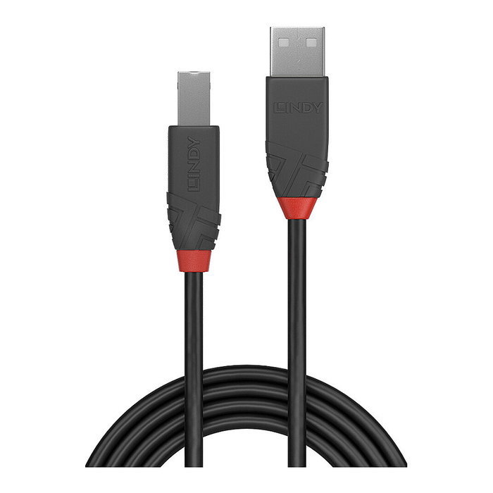 Lindy 36672 Cable USB 2.0 de 1 m con conectores USB A y USB B Negro