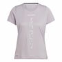 Camiseta de Manga Corta Hombre Adidas Terrex Agravic Lila