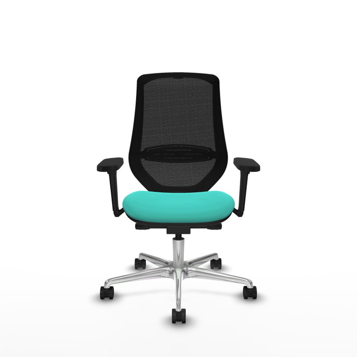 PIQUERAS Y CRESPO Silla de oficina Mardos con mecanismo Sincro/Traslack, Turquesa y Negro PIQUERAS Y CRESPO Silla de oficina Mardos con mecanismo Sincro/Traslack, Turquesa y Negro