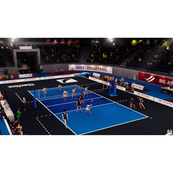 Videojuego PlayStation 4 Sony PS4VOLLEYSPPT